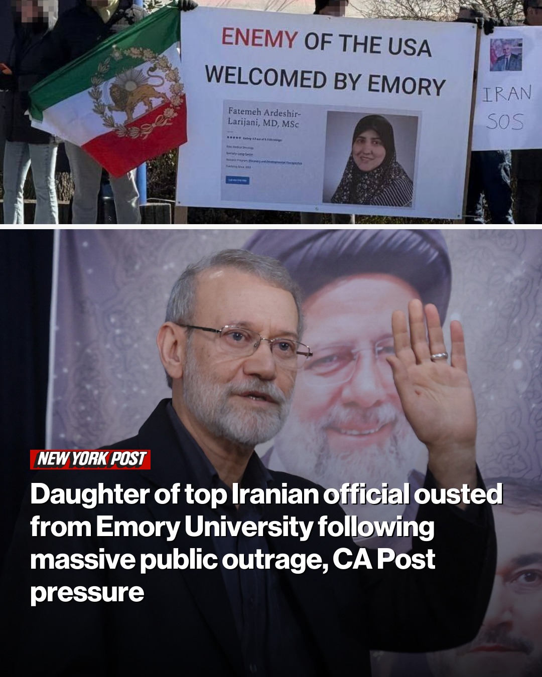 New - Fatemeh Ardeshir-Larijani was an assistant professor at Emory’s ...