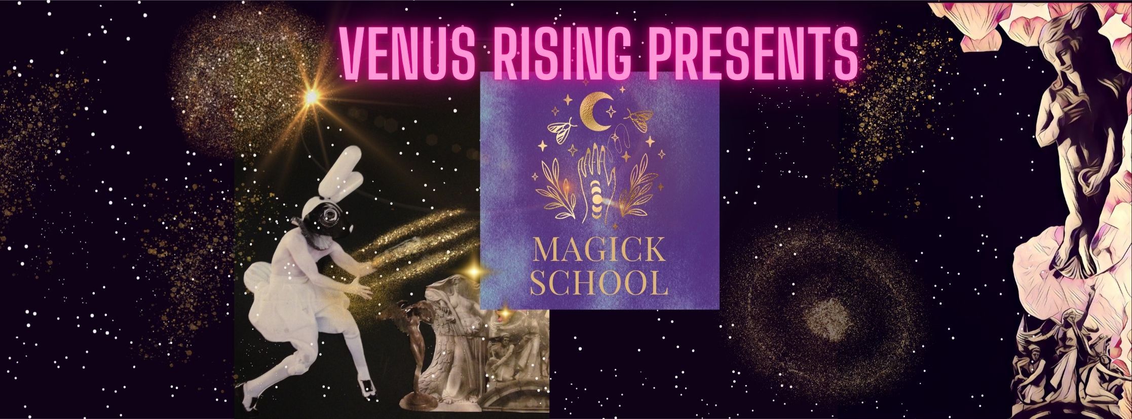 Venus Rising Presents