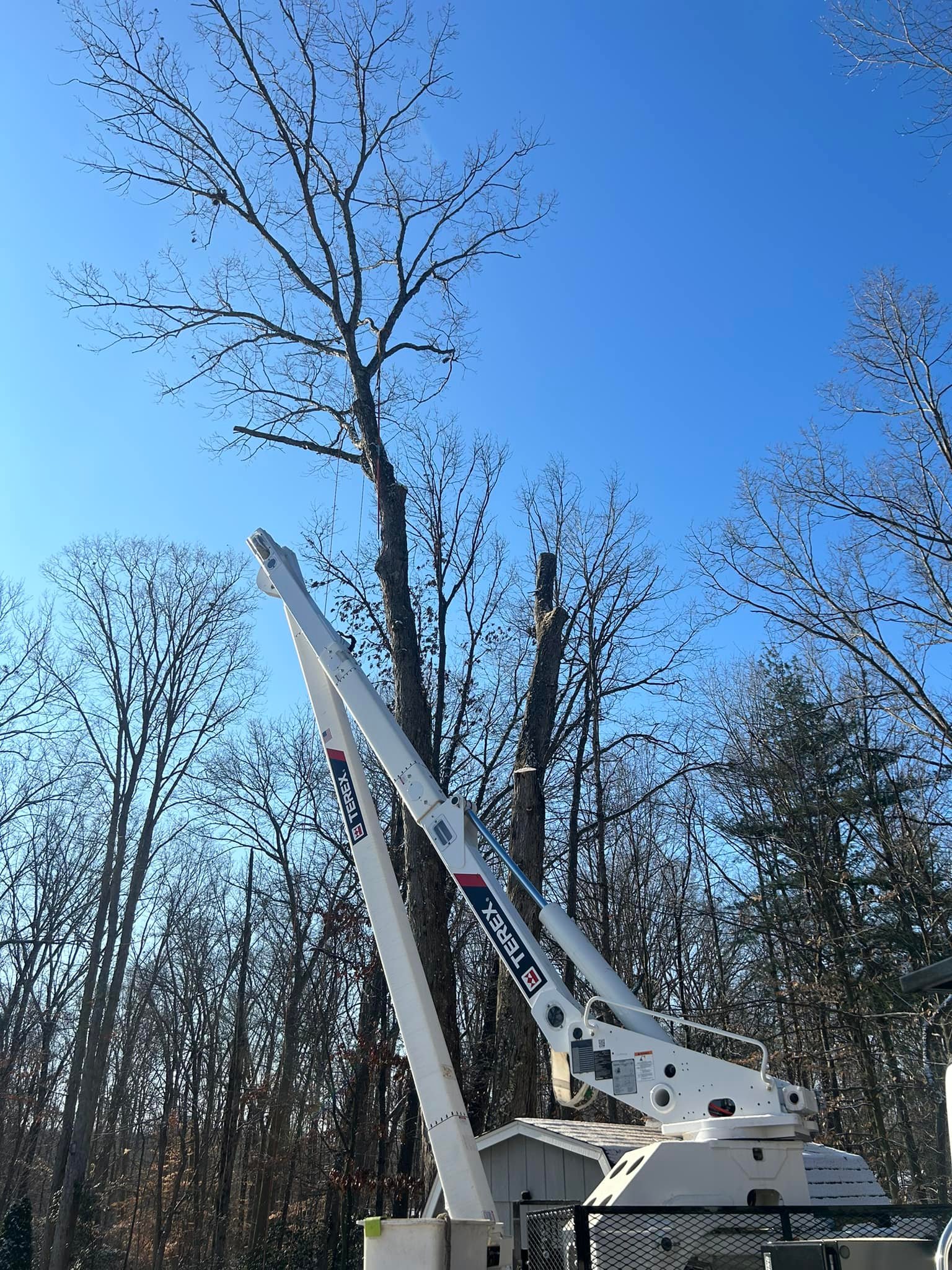 Sitemapcdatahttpabckniqoocomfiguemax Tree Service Somerdale Njnull