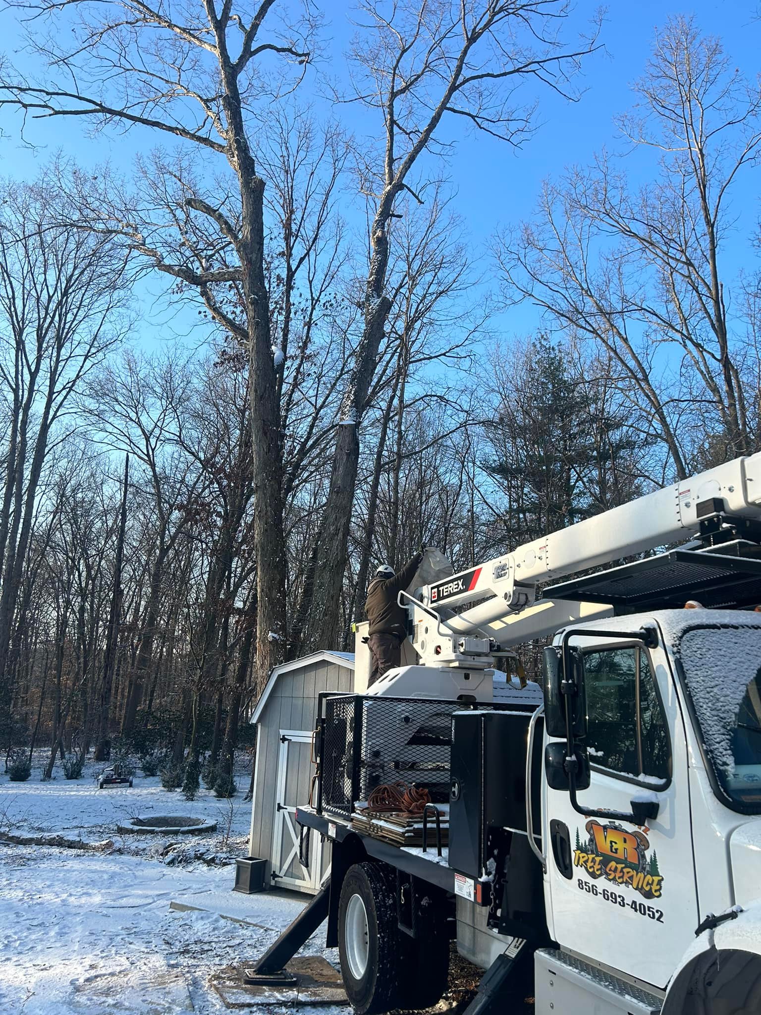 Sitemapcdatahttpabckniqoocomfiguemax Tree Service Somerdale Njnull