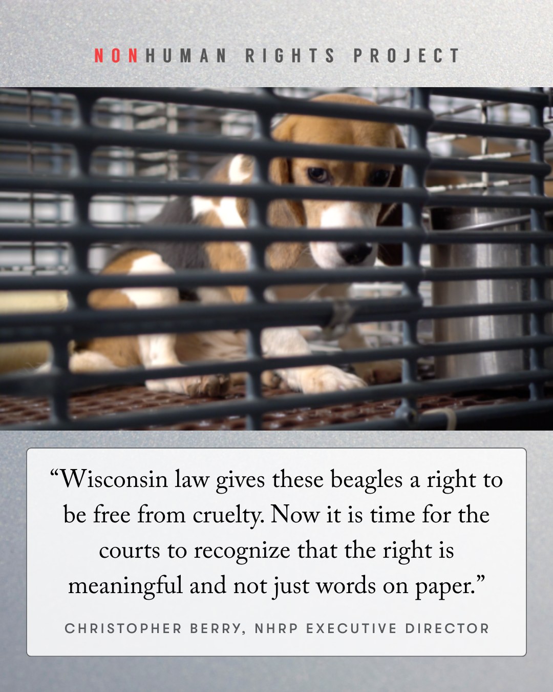 Nonhuman Rights Project | Washington D.C. DC