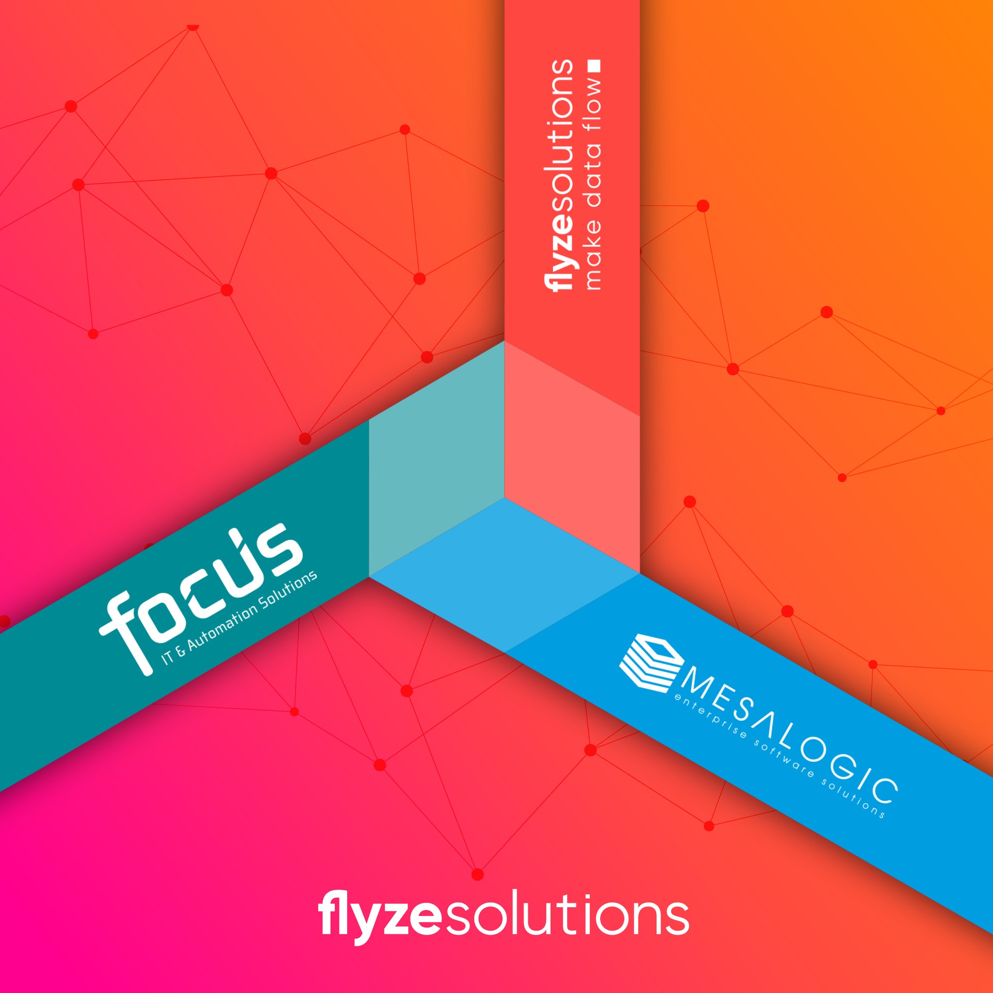 flyze.solutions