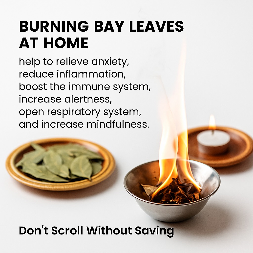 Artkala4u - 🔥 Transform Your Mood in 60 Seconds – Ancient Bay Leaf ...