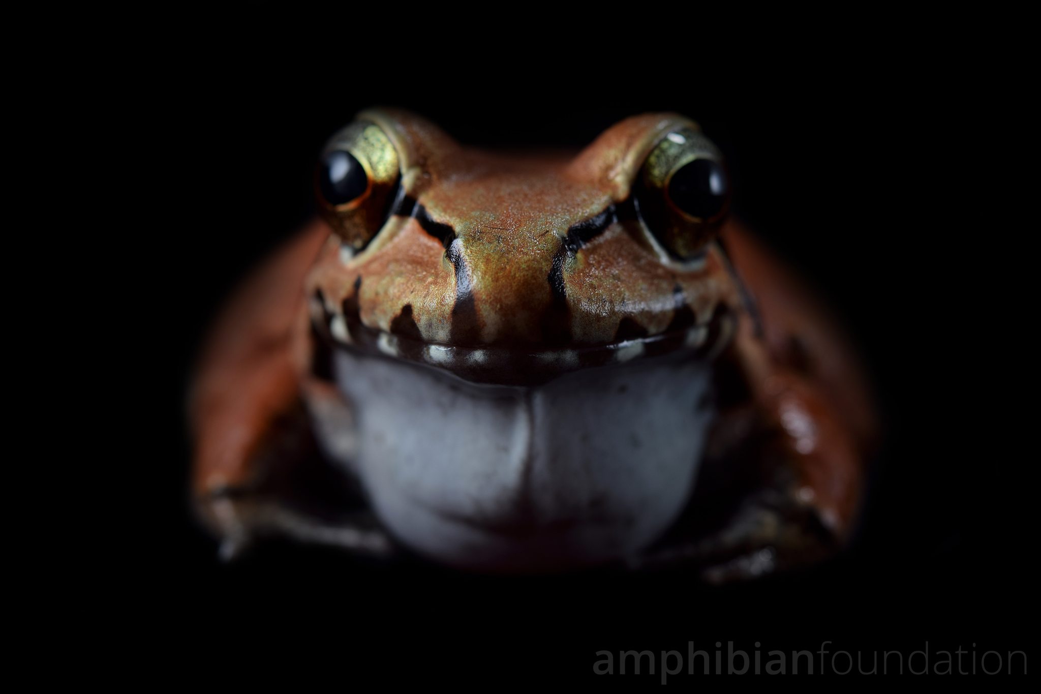The Amphibian - Our signature virtual course is a smokeshow! Taught by ...