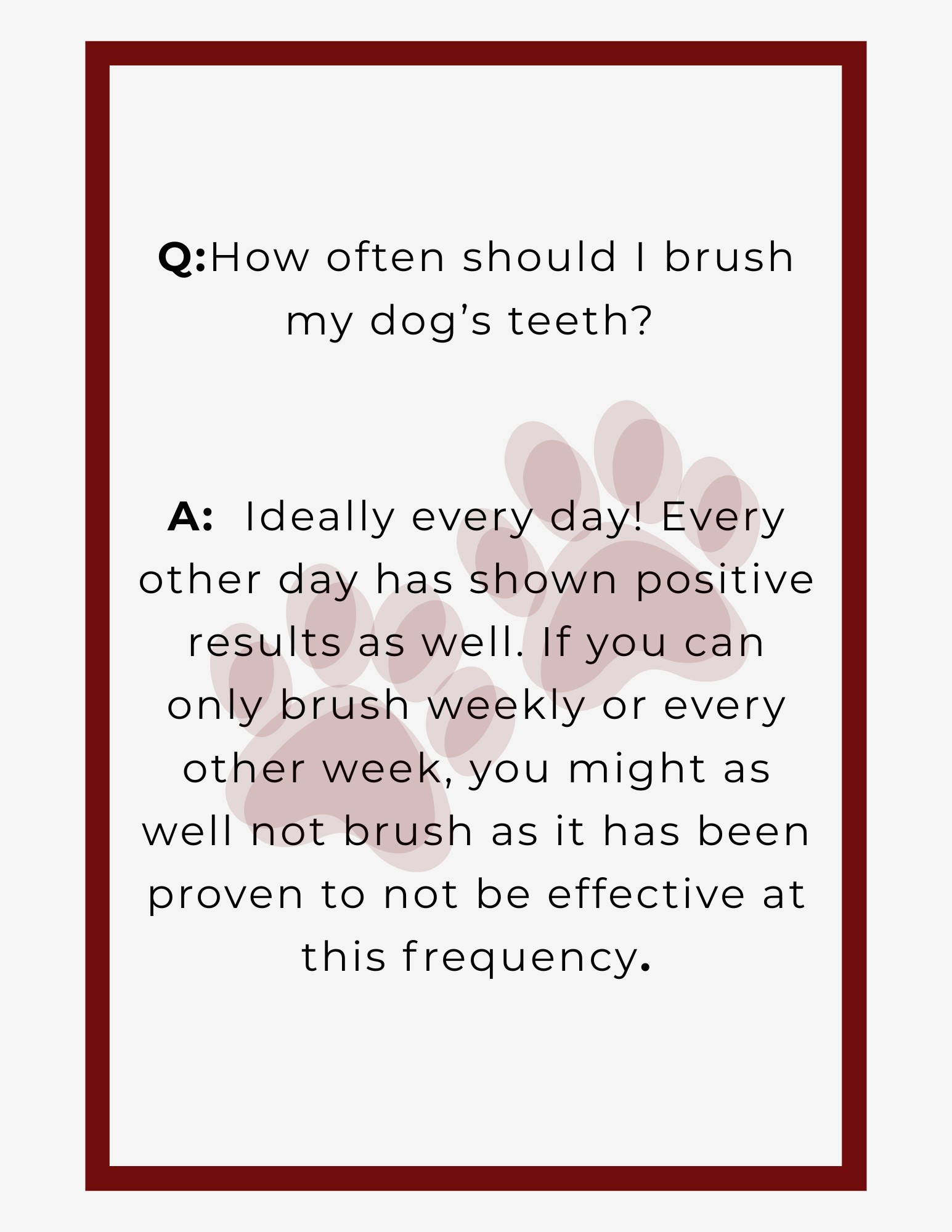 How Often to Brush Dog's Teeth: Essential Guide