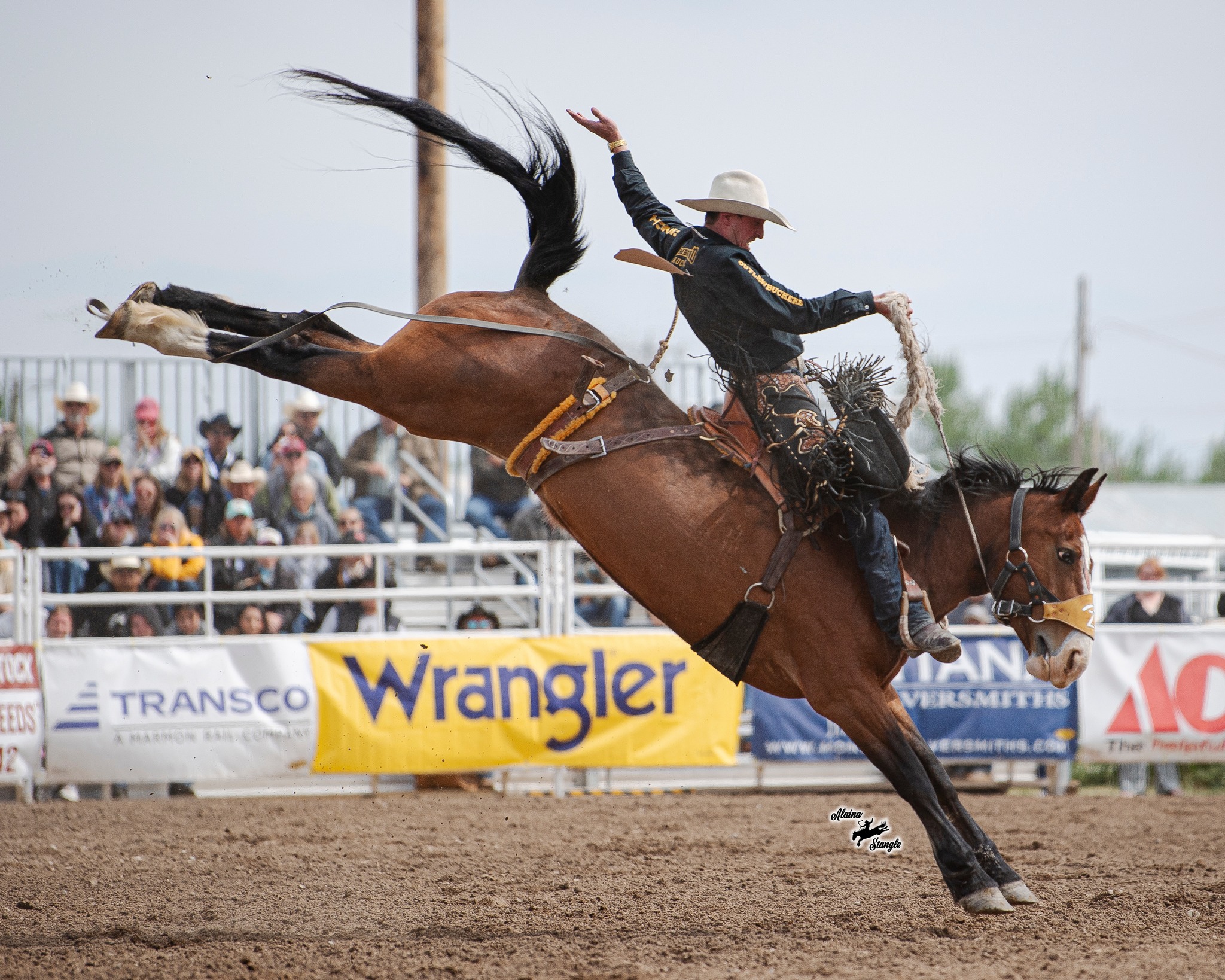 World - 🔥 The countdown to the NFR is officially ON! Big shoutout to ...