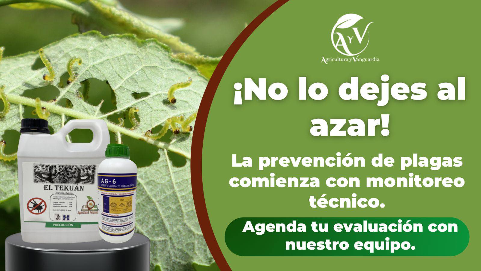 Anifoda - La nueva clasificación toxicológica de los agroquímicos ...