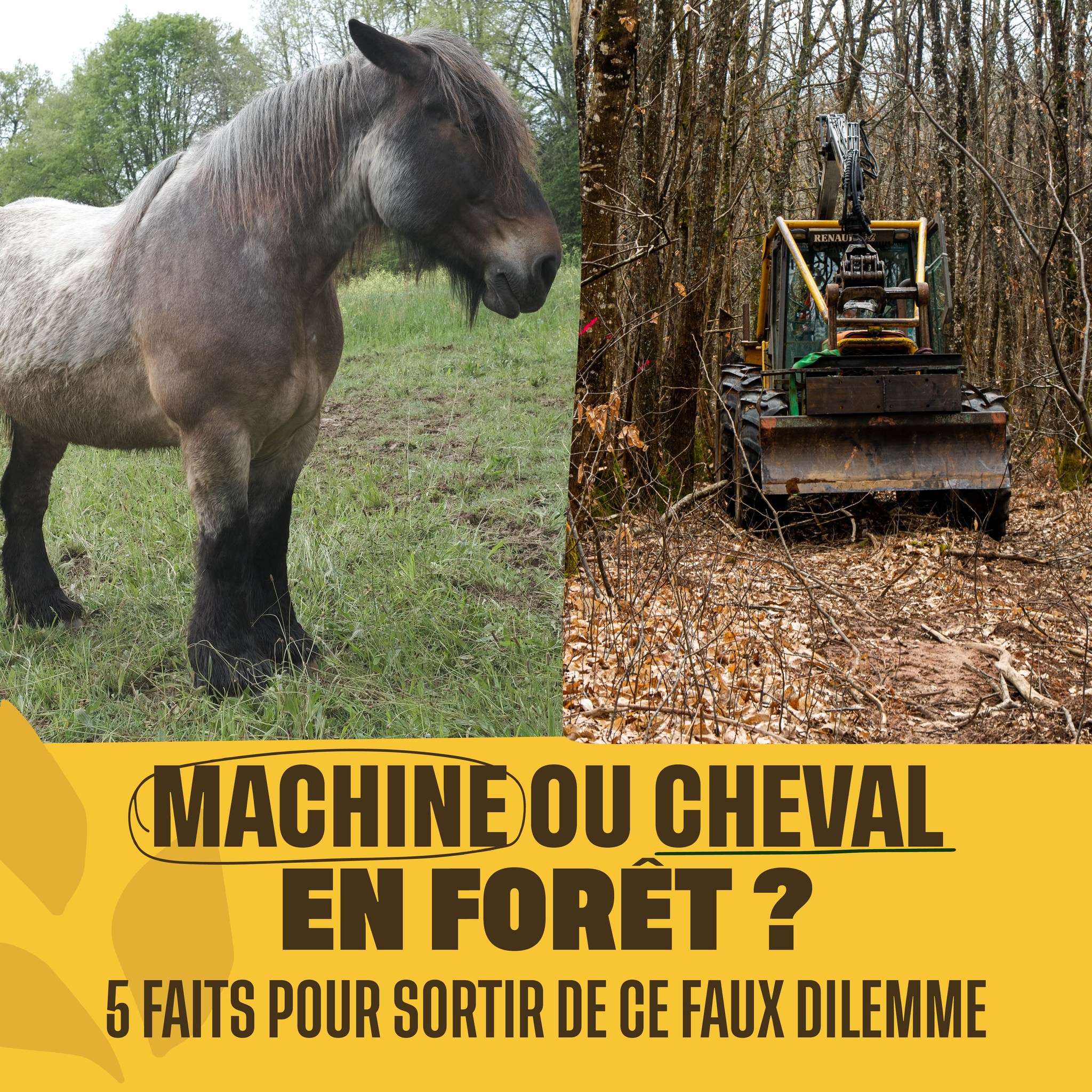Coeur de Forêt - Machine ou cheval en forêt ? Sortir du... | Facebook