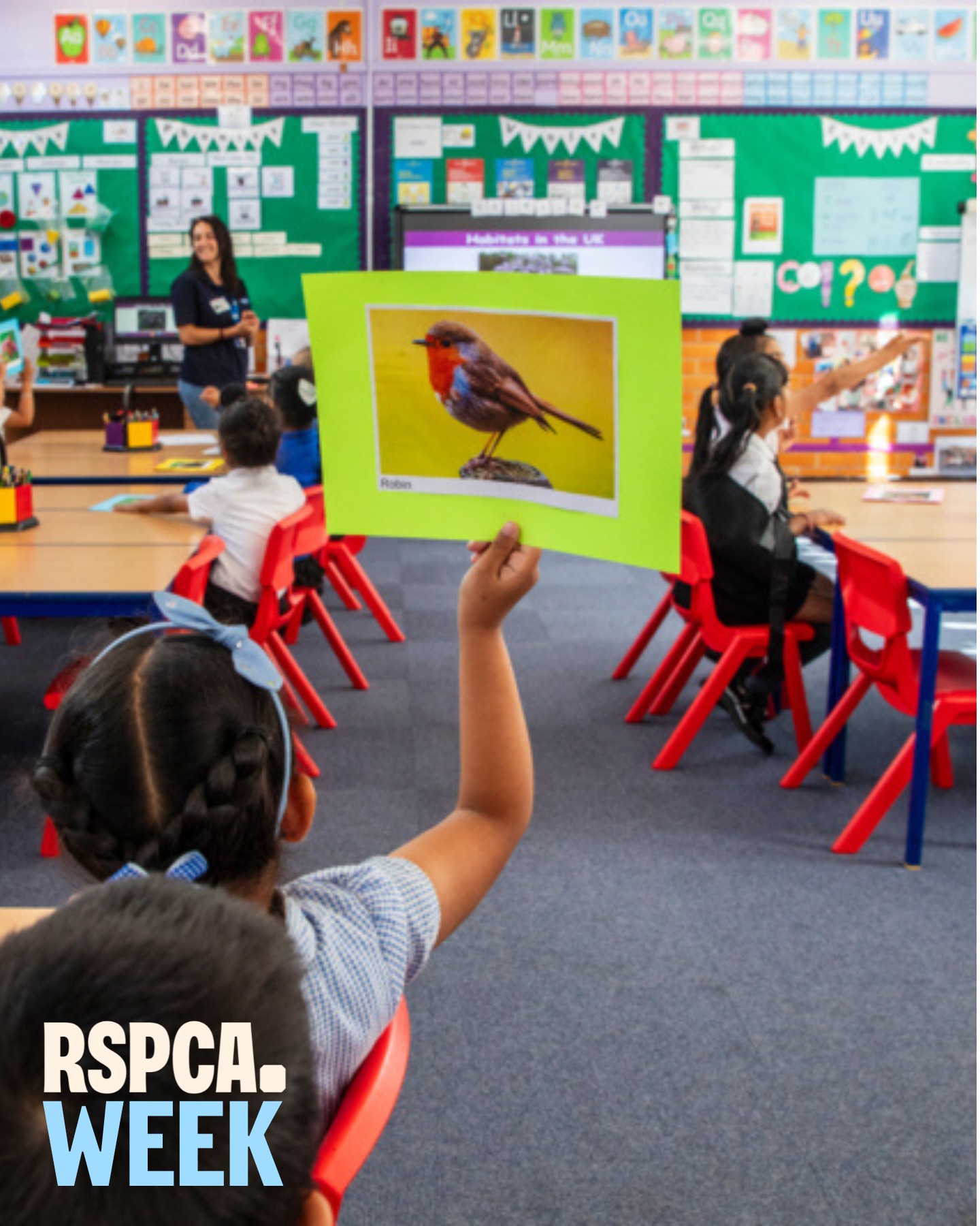 RSPCA - Educating the next generation is key to building a kinder ...