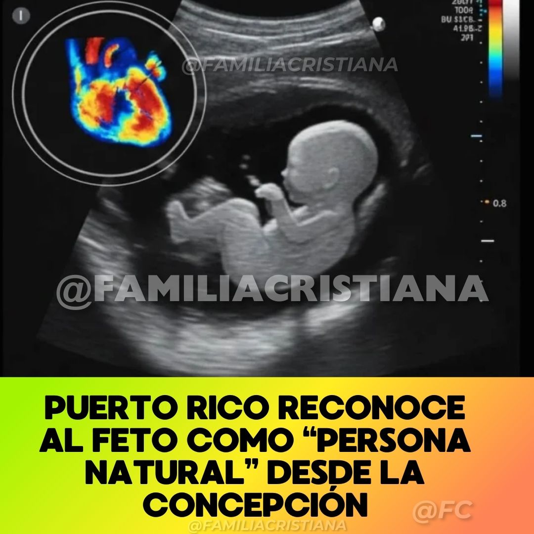 Familia - 🖐 La Cámara de Representantes de Puerto Rico aprobó una ley ...