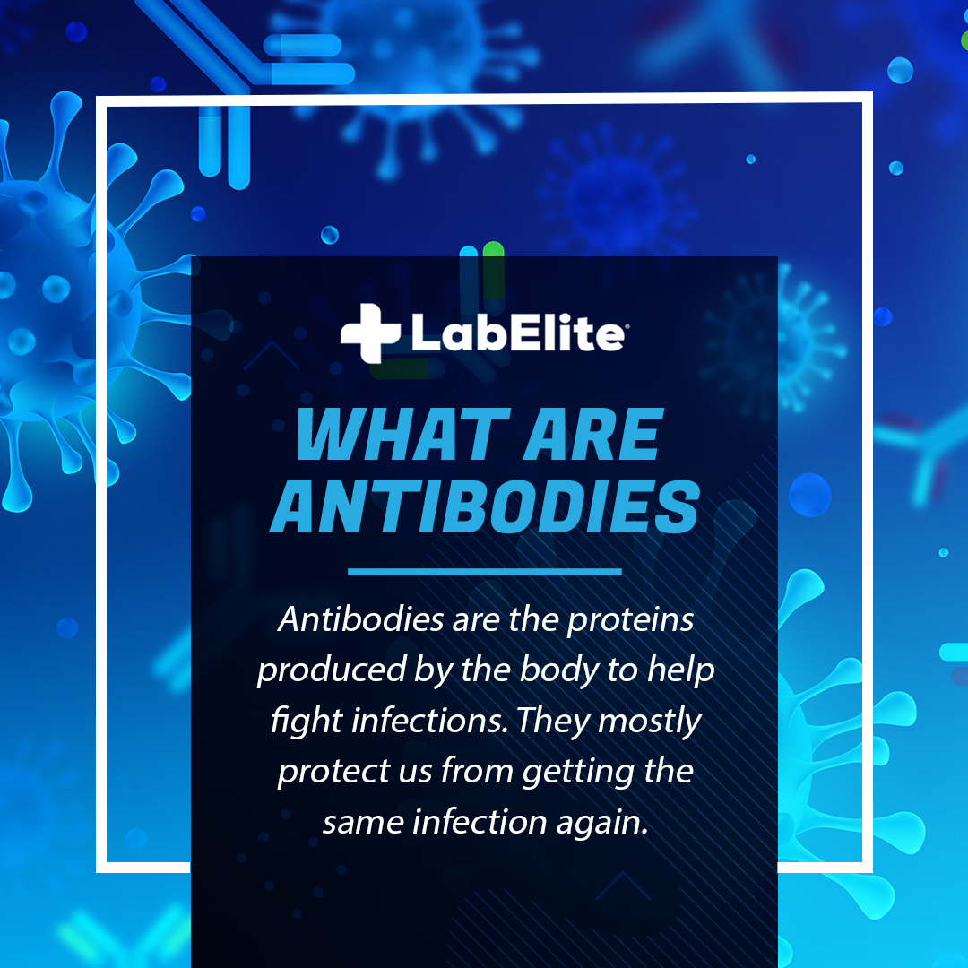 Lab Elite | Chicago IL