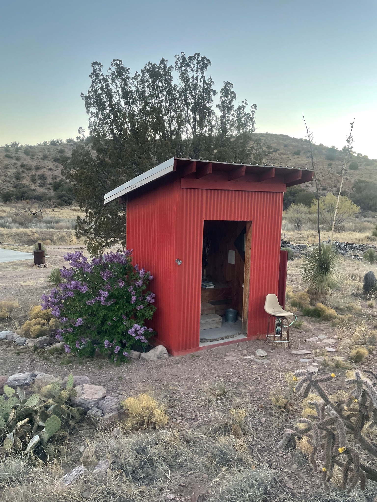 The Beautiful Lilac Bush The... - The Pitchfork Ranch