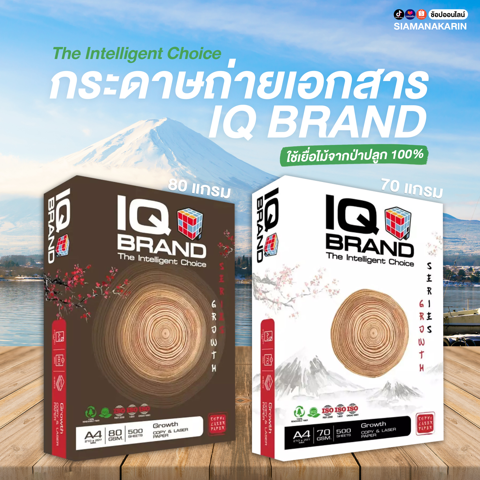 กระดาษถ่ายเอกสาร IQ BRAND 🗻 รุ่น Growth Series มีให้เลือกทั้ง ขนาด 70