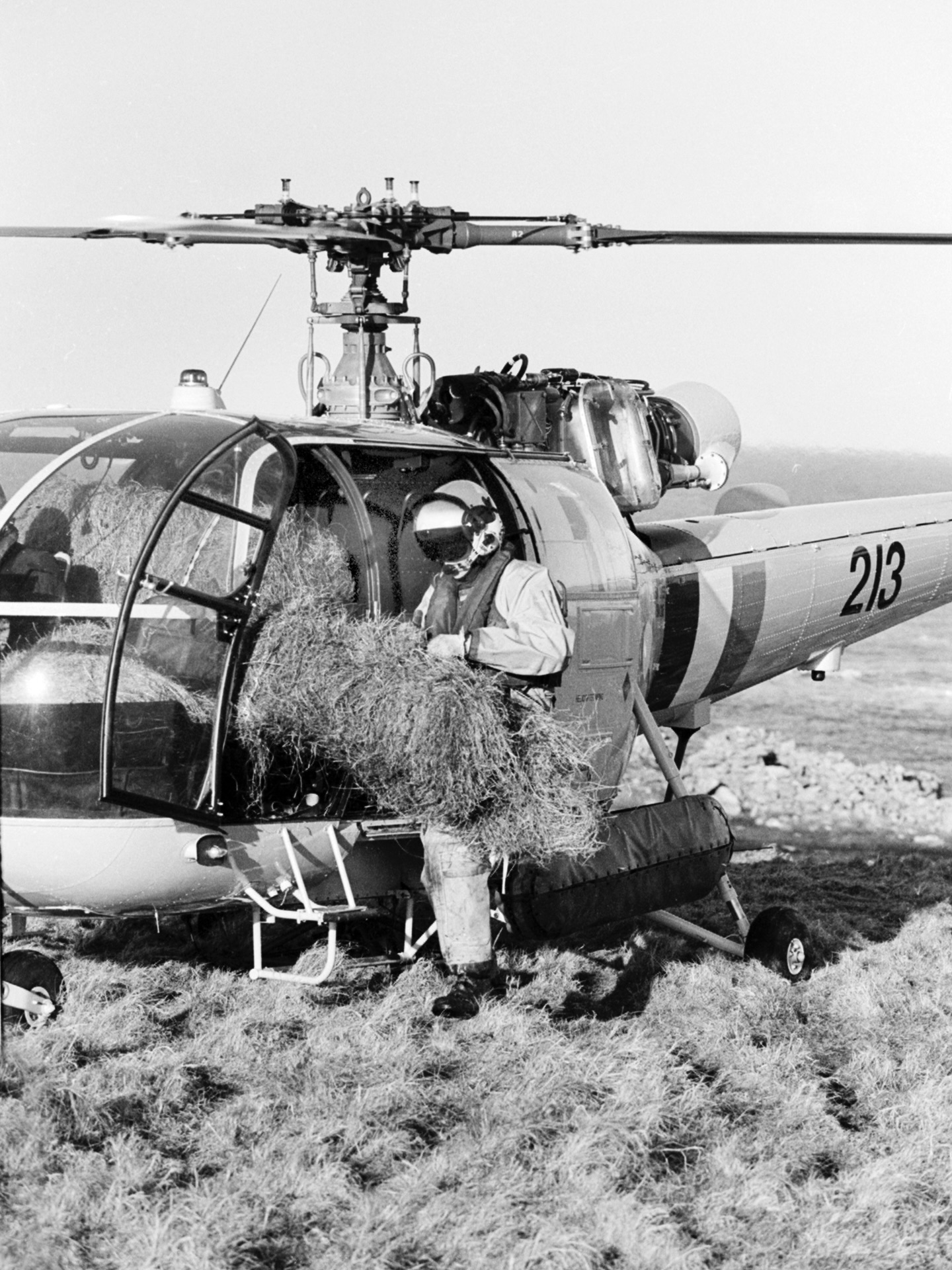 Regional - Irish Air Corps crewmen bringing hay to starving sheep after ...