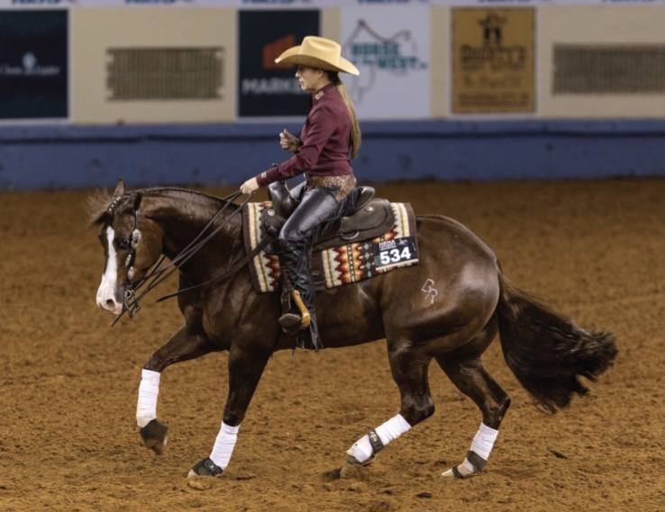 Booth Ranches - Horse Division | Sanger CA