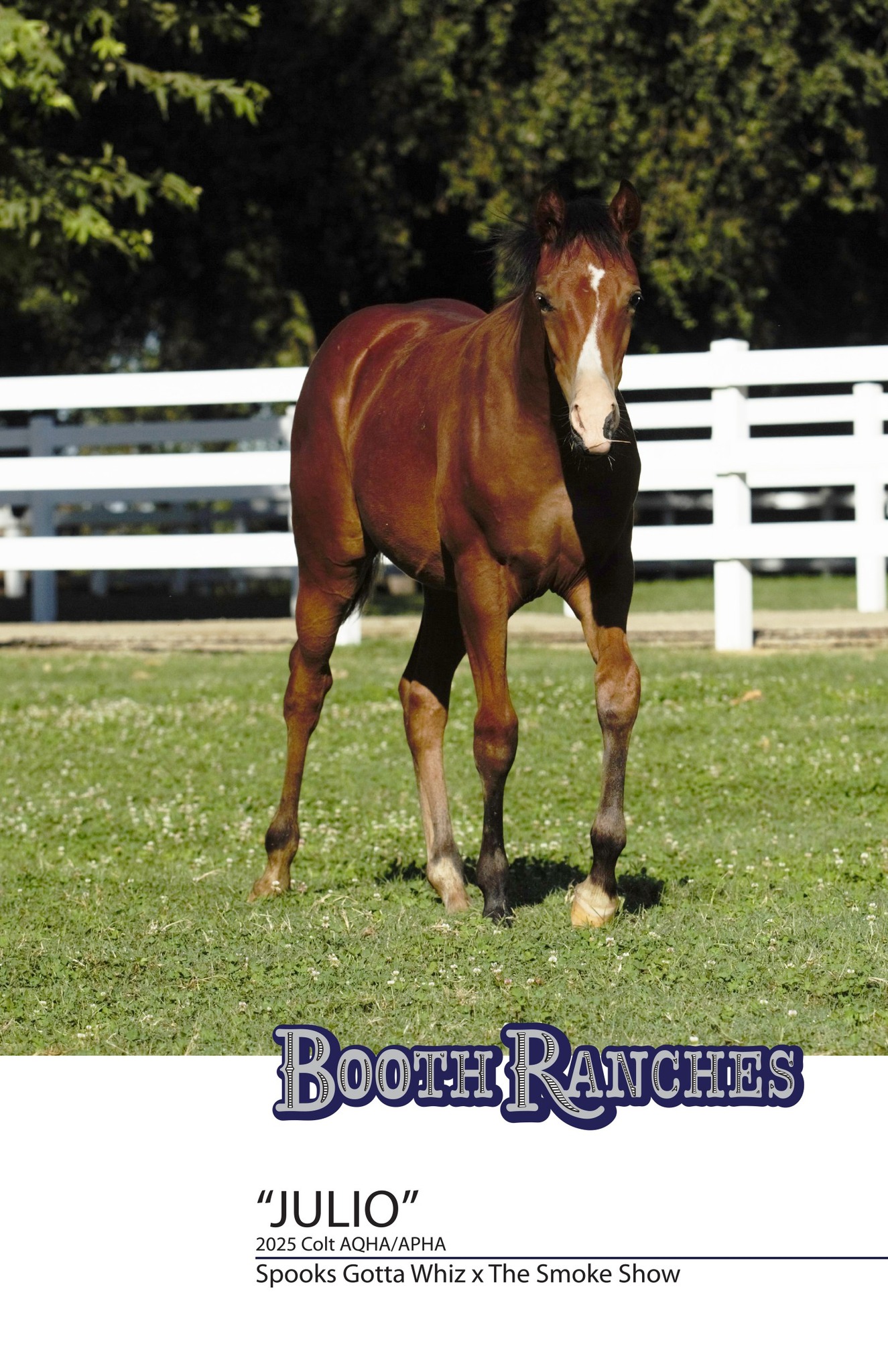 Booth Ranches - Horse Division | Sanger CA
