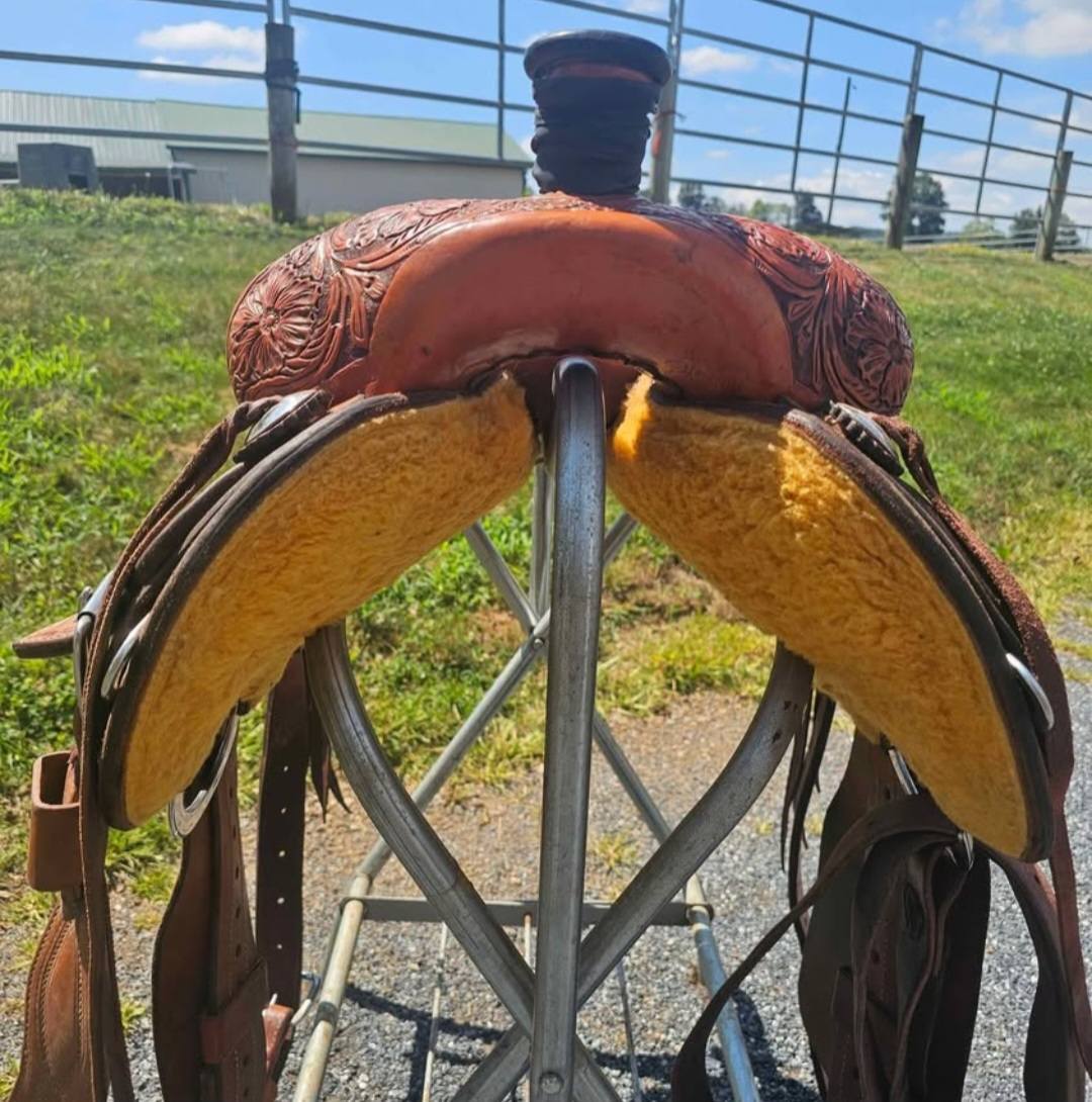 DM Performance Horses LLC... - DM Performance Horses LLC