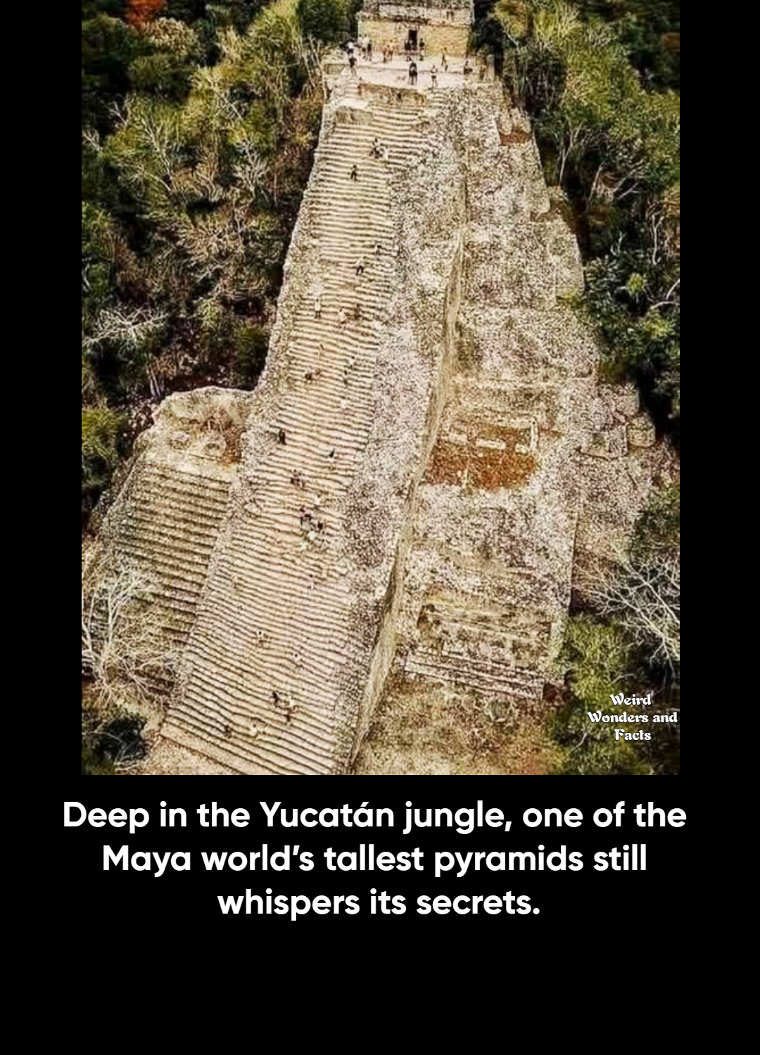 Weird - Rising 137 feet above the forest canopy, the Nohoch Mul Pyramid ...