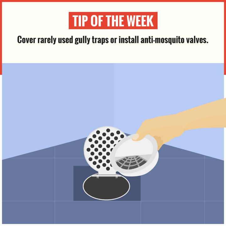 Nea Stop Dengue Now Let S Prevent Mosquito Breeding In Gully Traps That Are Rarely In Use Especially When There Is A Spare Toilet At Home Cover Such Gully Traps And If