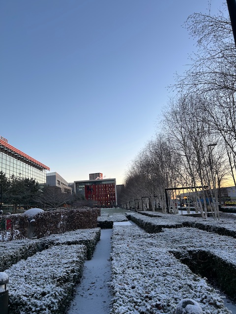 BCU Library and Learning Resources | Birmingham