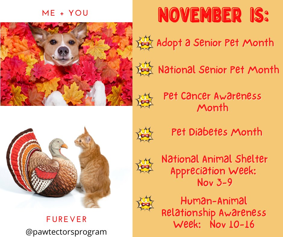 The Pawtectors - 🦸‍♀️🐾 November = REAL-LIFE HERO Month with The ...