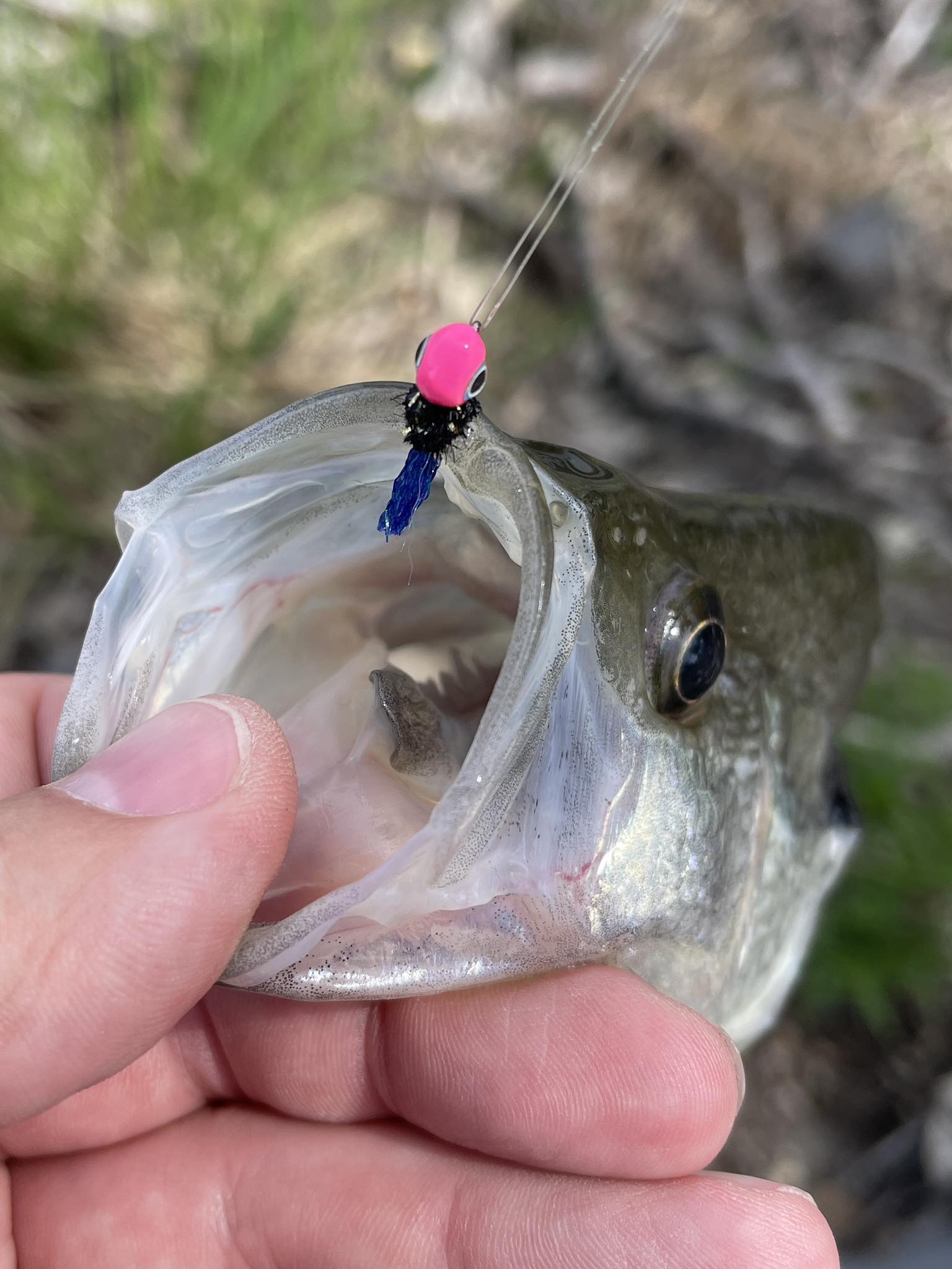 1990's ambassadeur baitcast reels Abu Garcia CSPR-6500FE CS Pro Rocket FE Reel Example (note in your order):Side Plate/Rover(60-90) Power Handle Abu Garcia Round Baitcast #1 Coastal Fishing Rod 12 Strands PE Braid