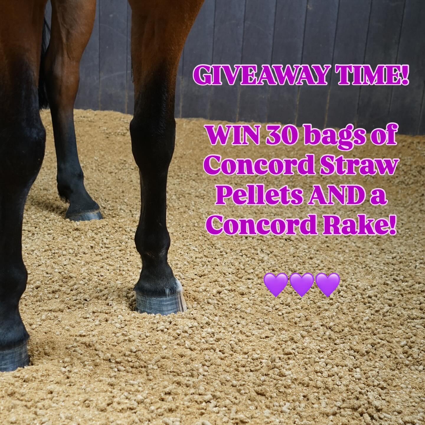Concord Equestrian Straw Pellets | Shrewsbury