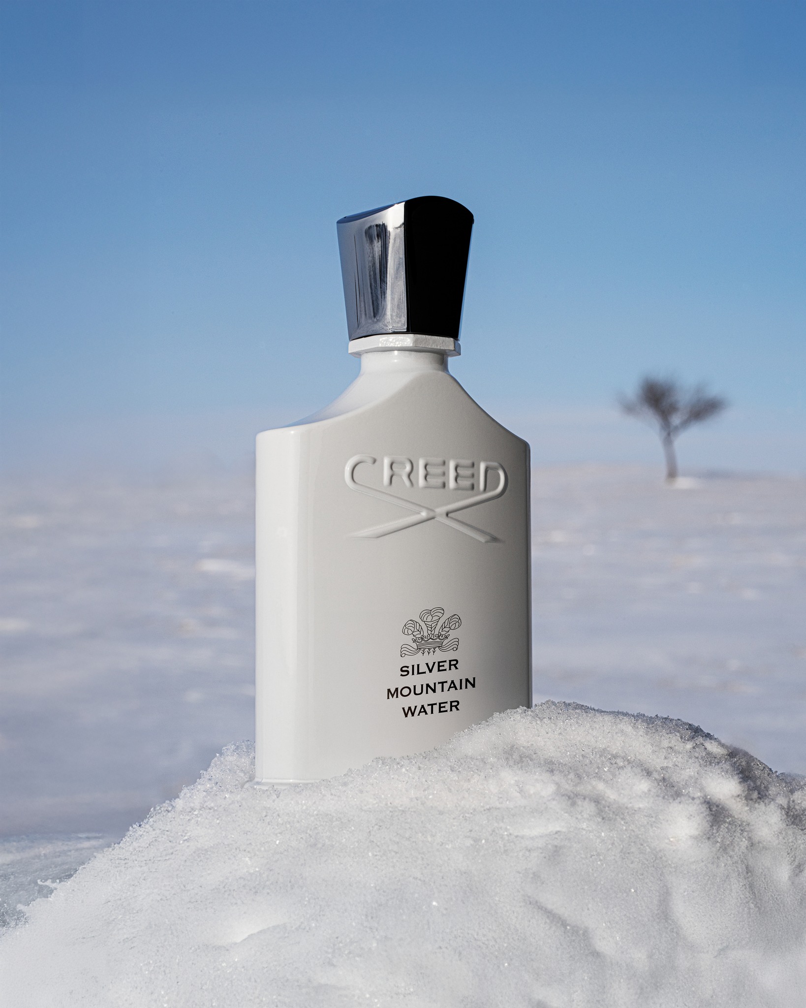 Uncover the cool, crystalline elegance of Silver Mountain Water 
