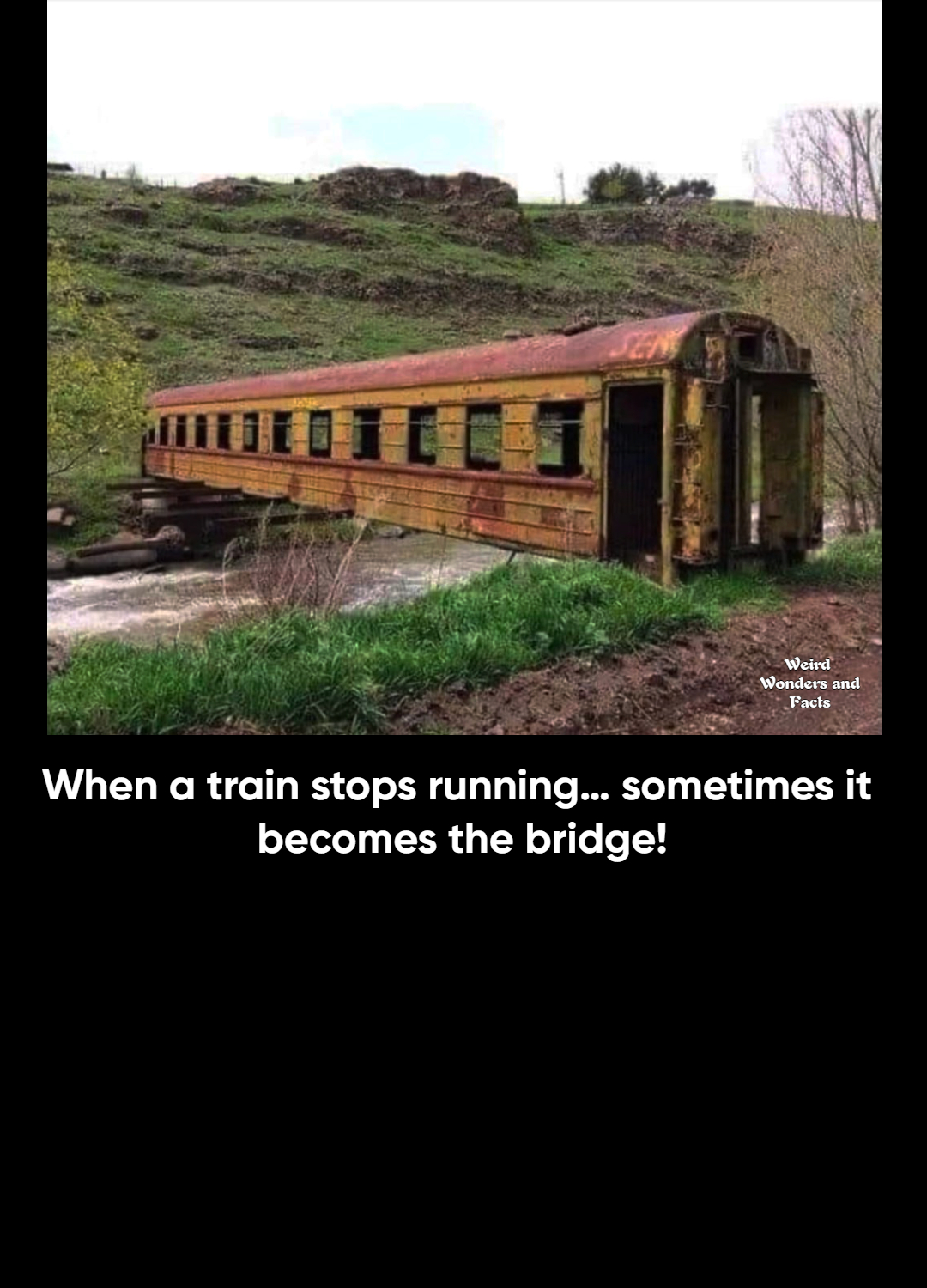 Weird - Around the world, abandoned railcars and flatbed train cars ...