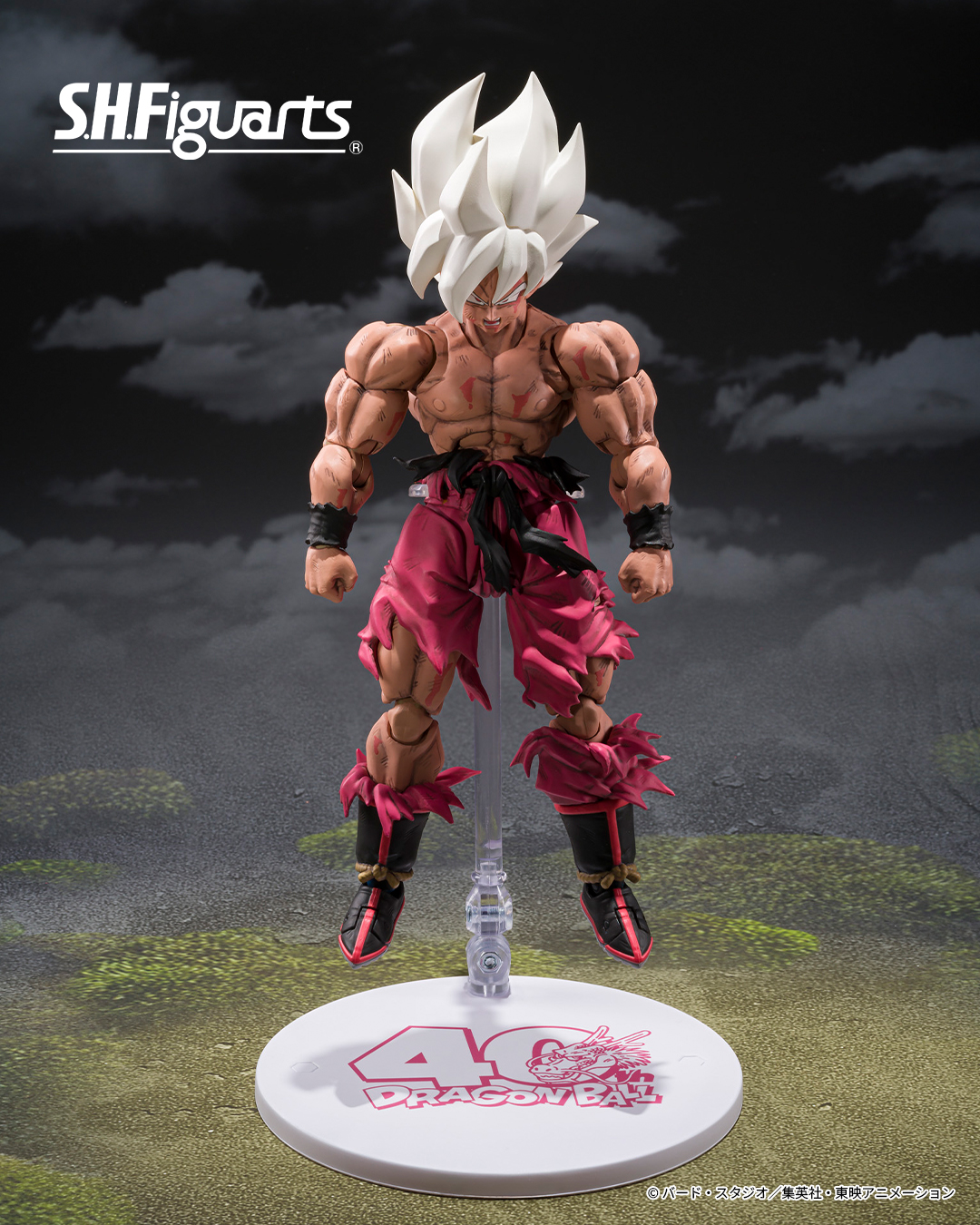 S.H.Figuarts ドラゴンボール 孫悟空＆龍-40周年記念Edition New Product Announcement 📢] S.H.Figuarts SUPER SAIYAN SON GOKU