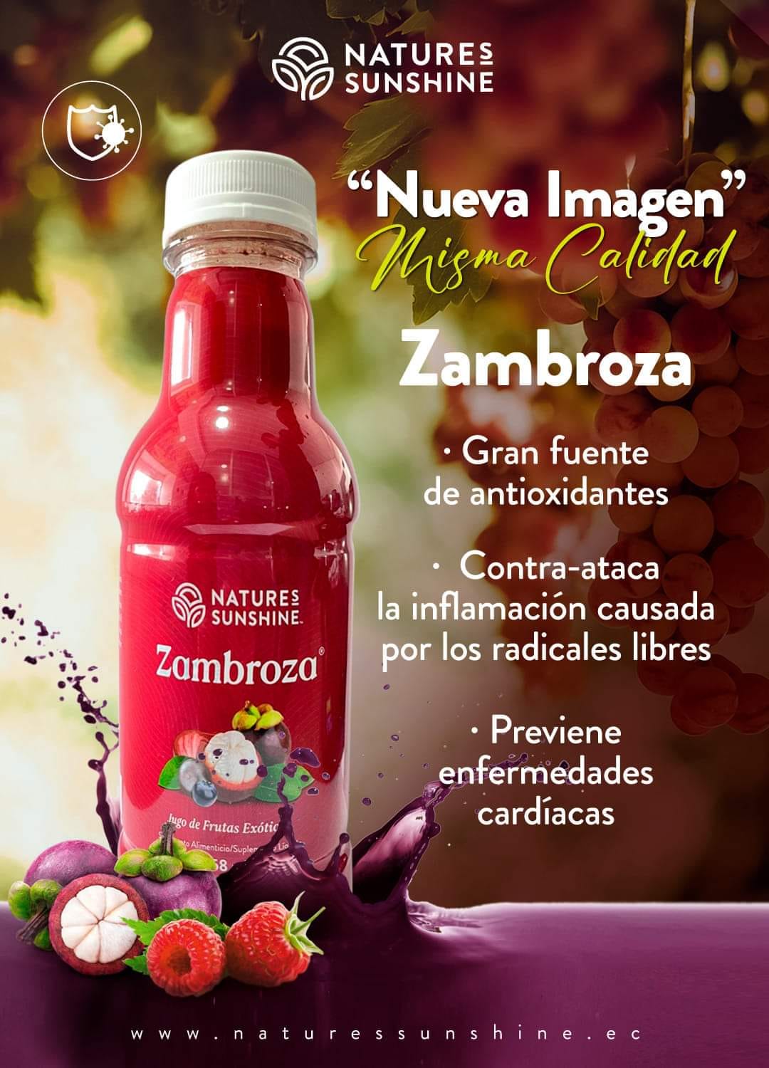 10 Beneficios de Zambroza y... - Chi Terapias Alternativas | Facebook