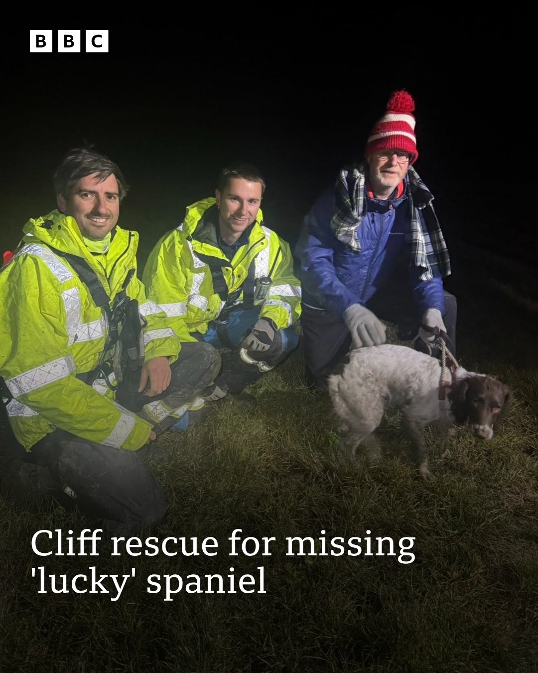 Springer Rescue for Scotland