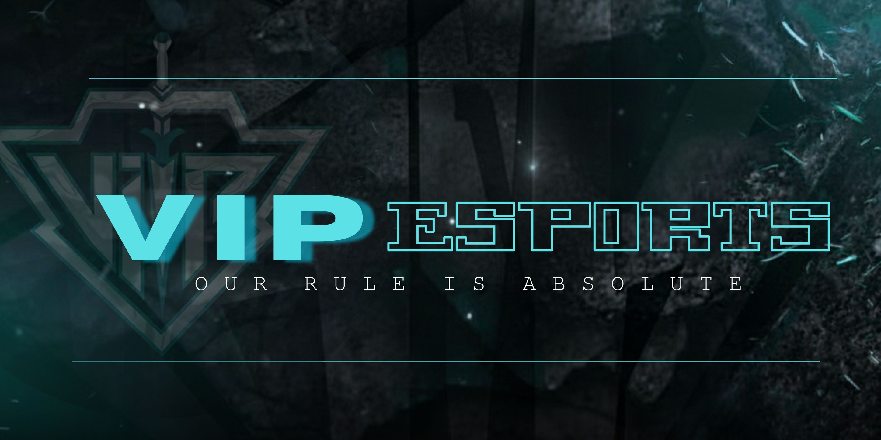 VIP PRIME ES