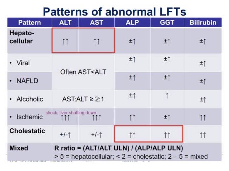 Difference Between... - Medical Laboratory Scientist - MLS | Facebook