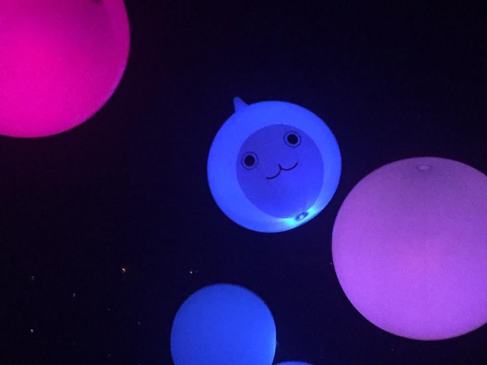 teamLab / チームラボ