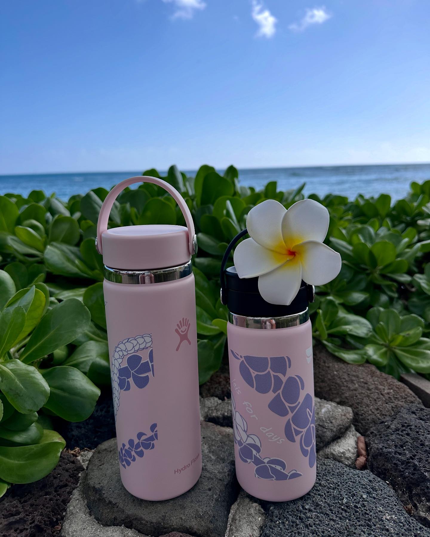Hydro Flask Leis for Days💕 16oz 20oz Sheraton Waikiki Store The