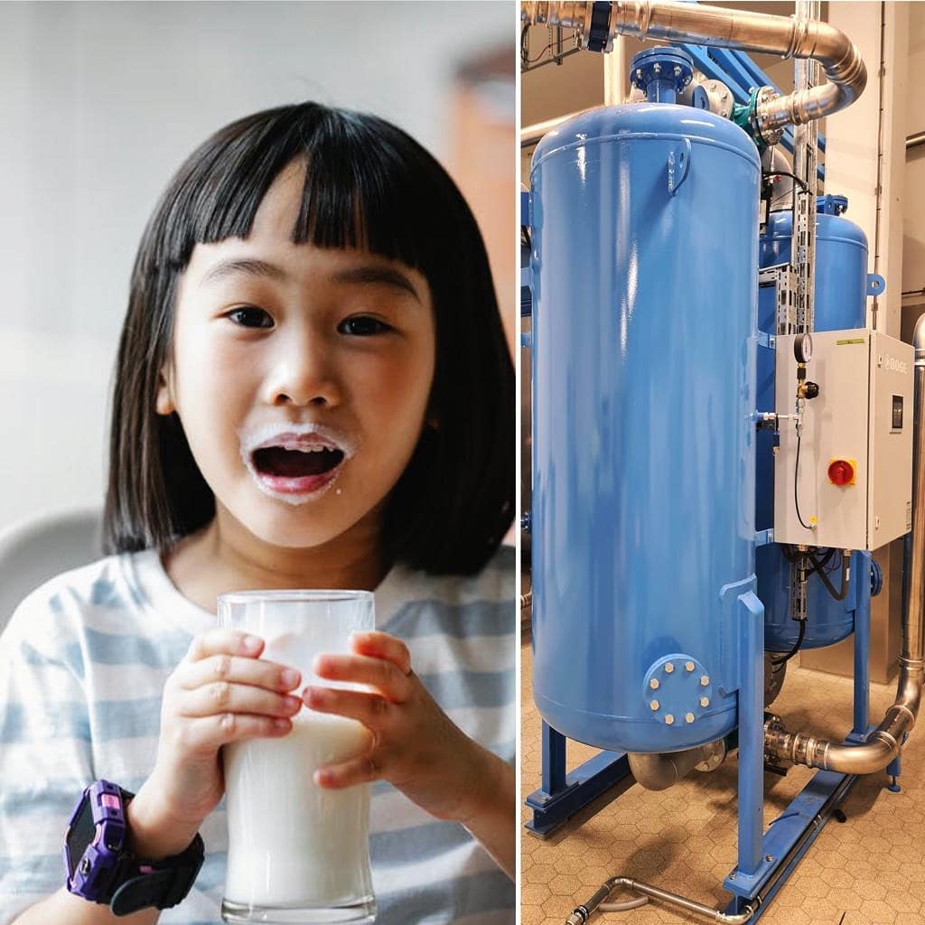 BOGE Kompressoren Benelux - 🥛🐄 Today is World Milk Day!🥛🐄 . Did you ...
