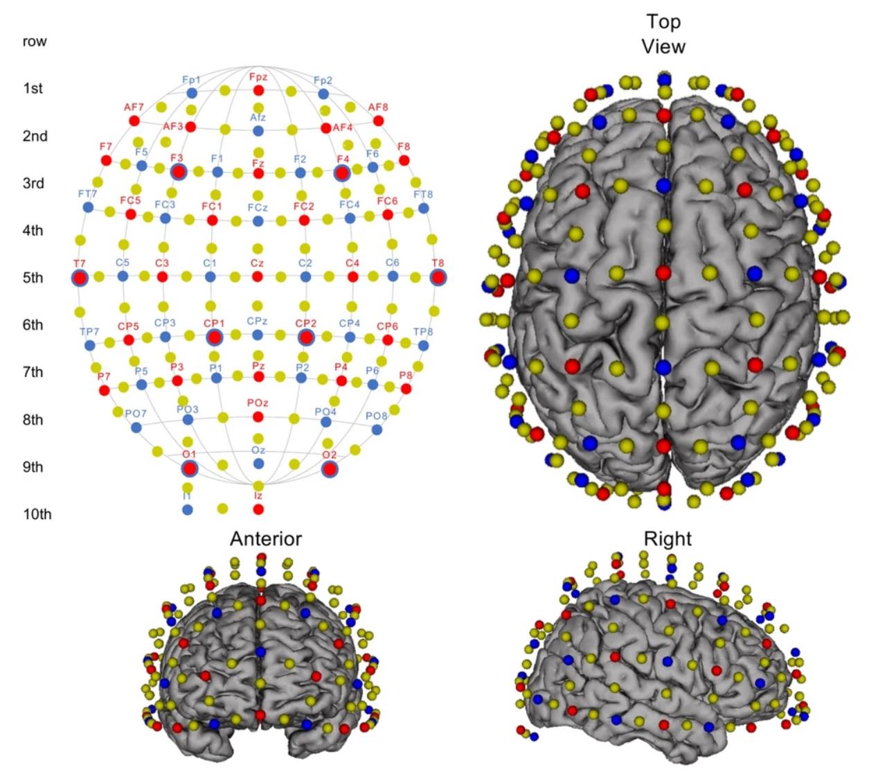 NIRx - 🏓 How does the brain adapt during real-life motor learning ...