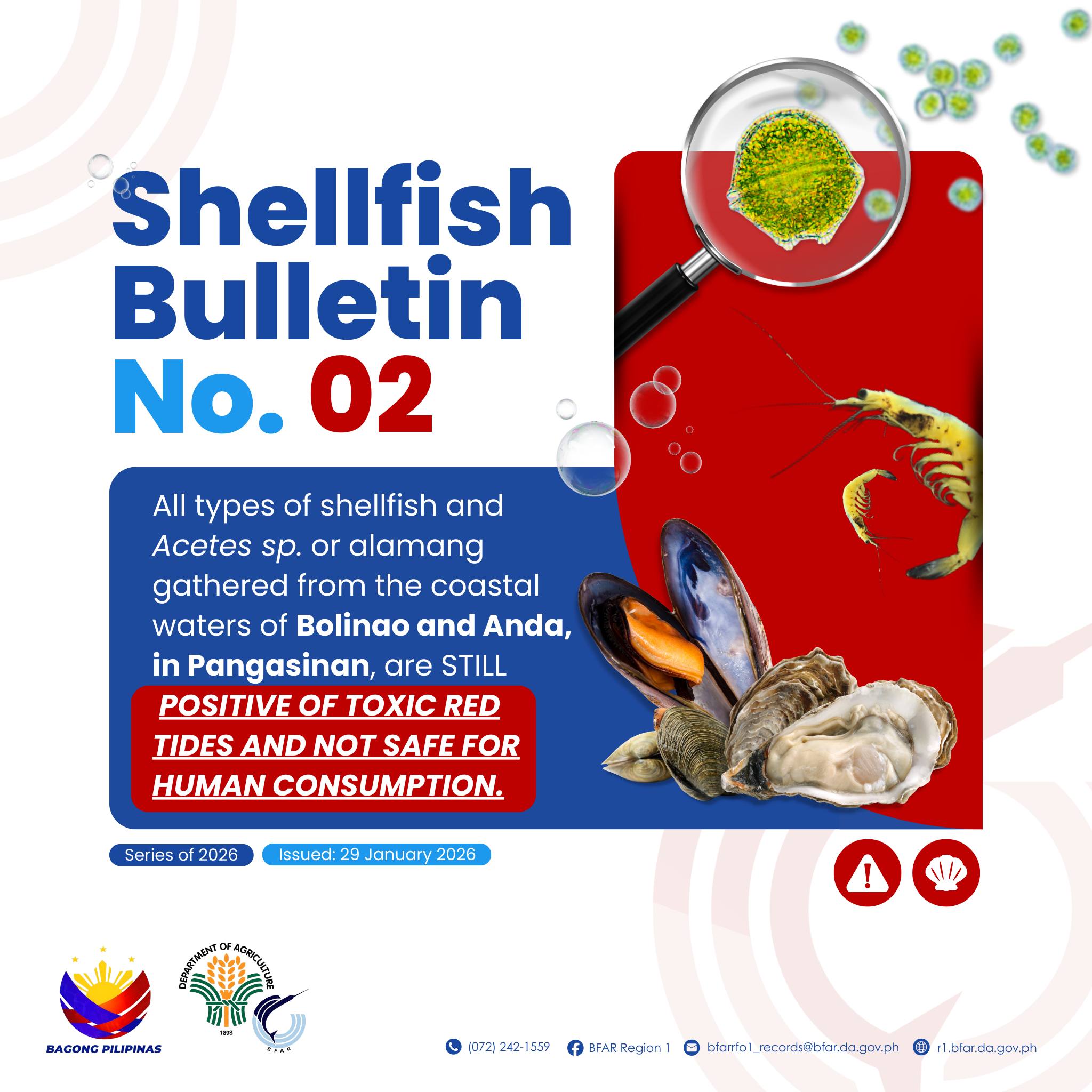 Information - RED TIDE ALERT🚨 𝐒𝐡𝐞𝐥𝐥𝐟𝐢𝐬𝐡 𝐁𝐮𝐥𝐥𝐞𝐭𝐢𝐧 𝐍𝐨. 𝟐 𝐈𝐬𝐬𝐮𝐞𝐝: January ...