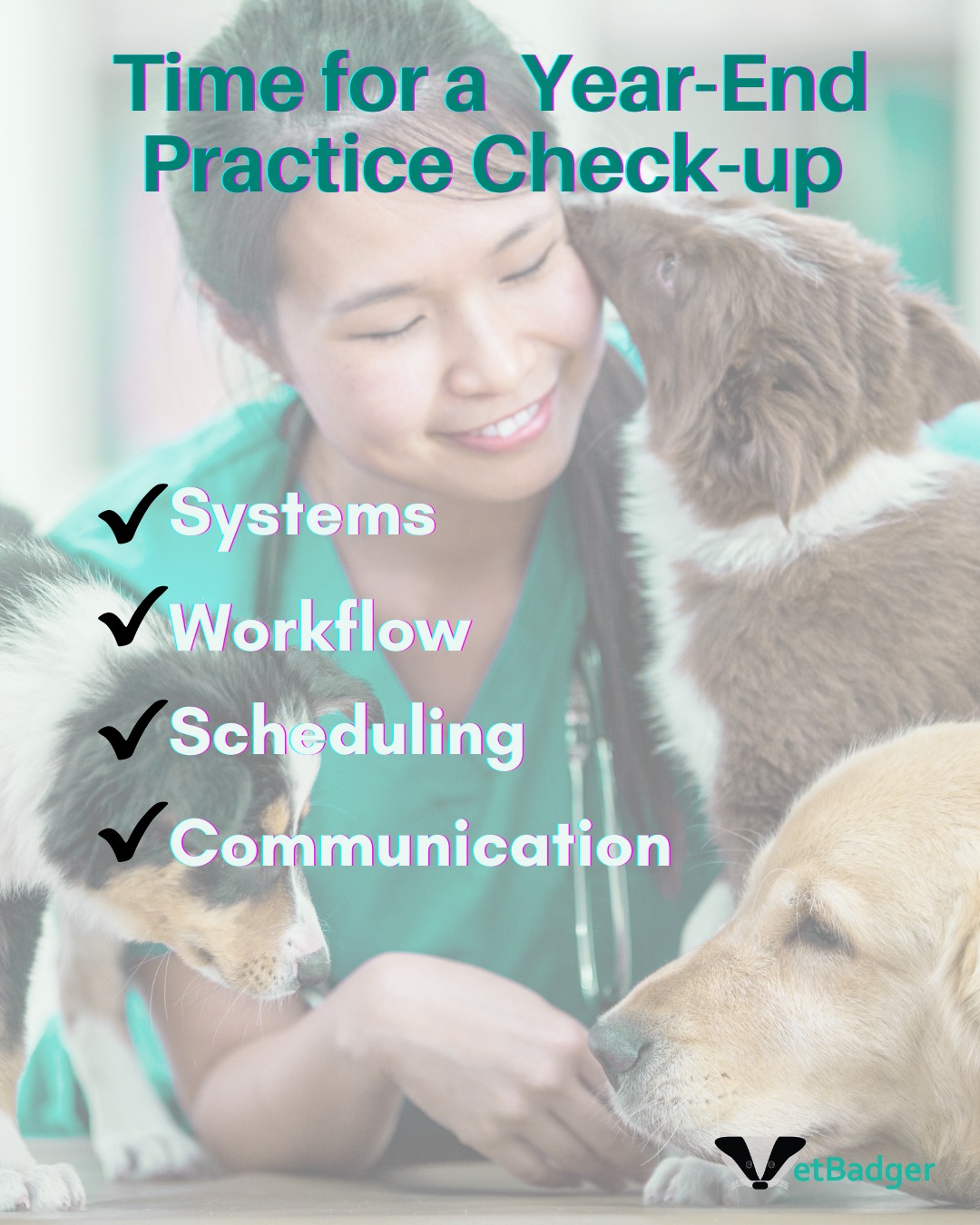 Before you step into 2026,... - VetBadger Veterinary Software | Facebook