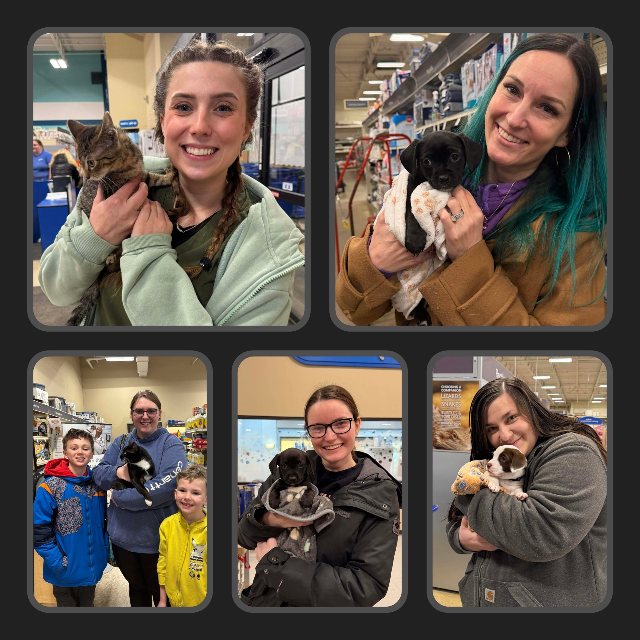 A ReJoyceful Animal Rescue... - A ReJoyceful Animal Rescue