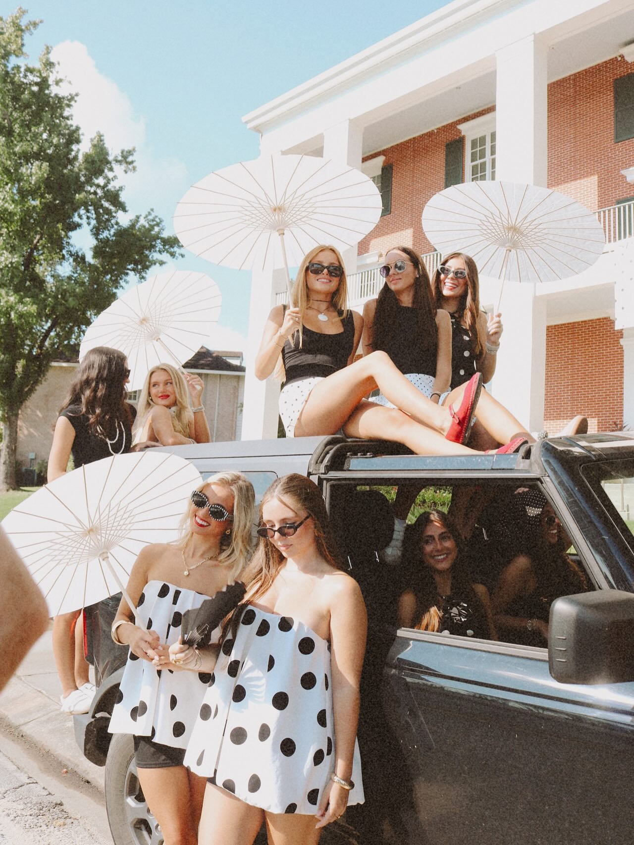 LSU Alpha Phi | Baton Rouge LA
