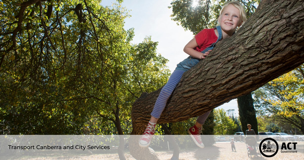 ACT Government - Some of our trees have been having a...