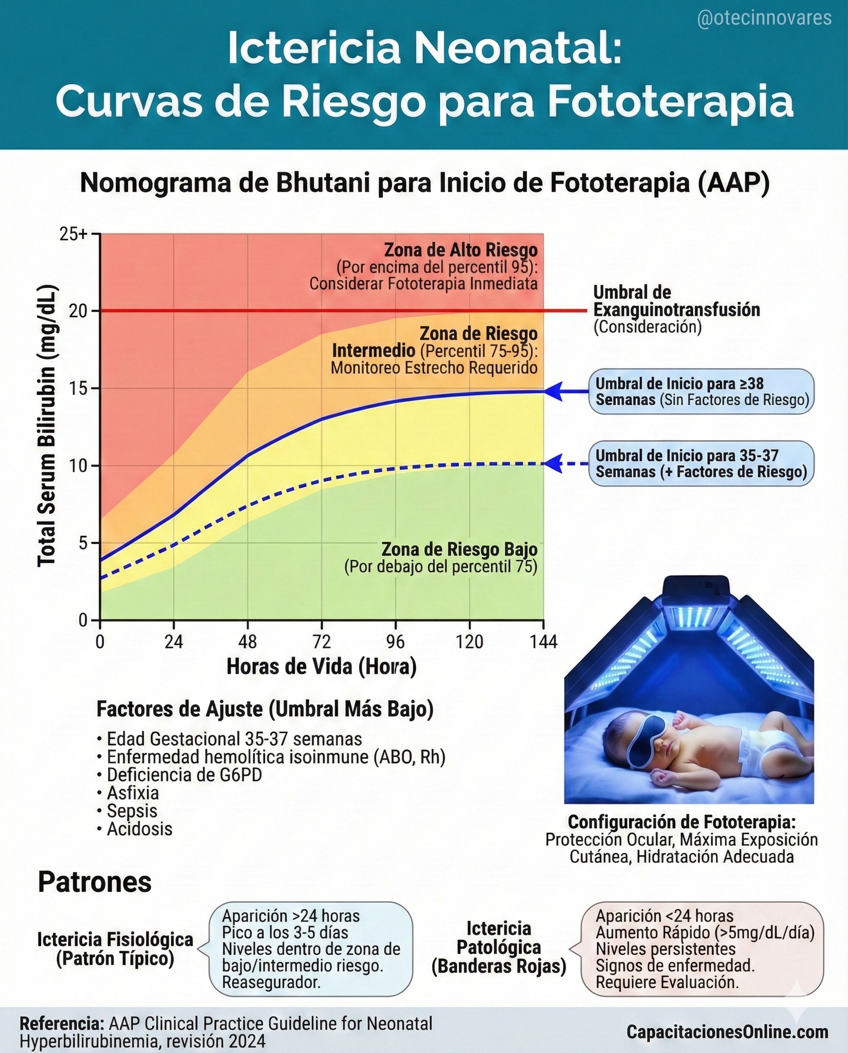 Capacitaciones - 📉 Ictericia Neonatal: Cuando el 