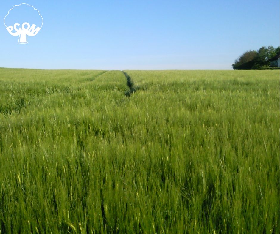Producers - 🌱 Springtime Means Fresh Starts! As pastures begin to green ...