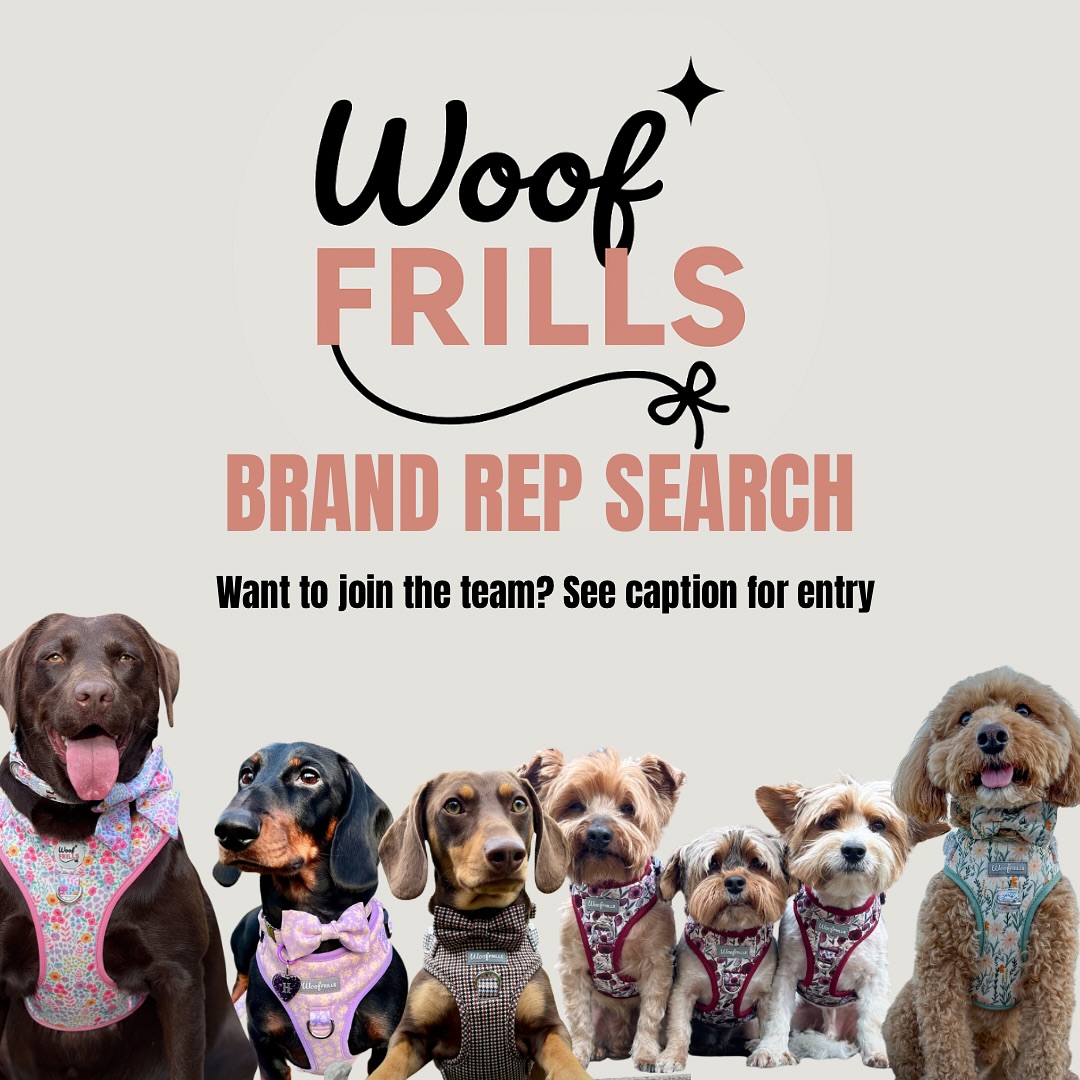 Woof Frills - 🐾 WOOF FRILLS BRAND REP SEARCH 🐾 Wanna... | Facebook