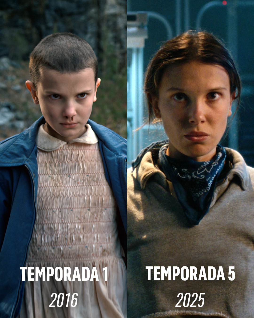 Netflix - Juntos una vez más para la última aventura. 🧇 La... | Facebook