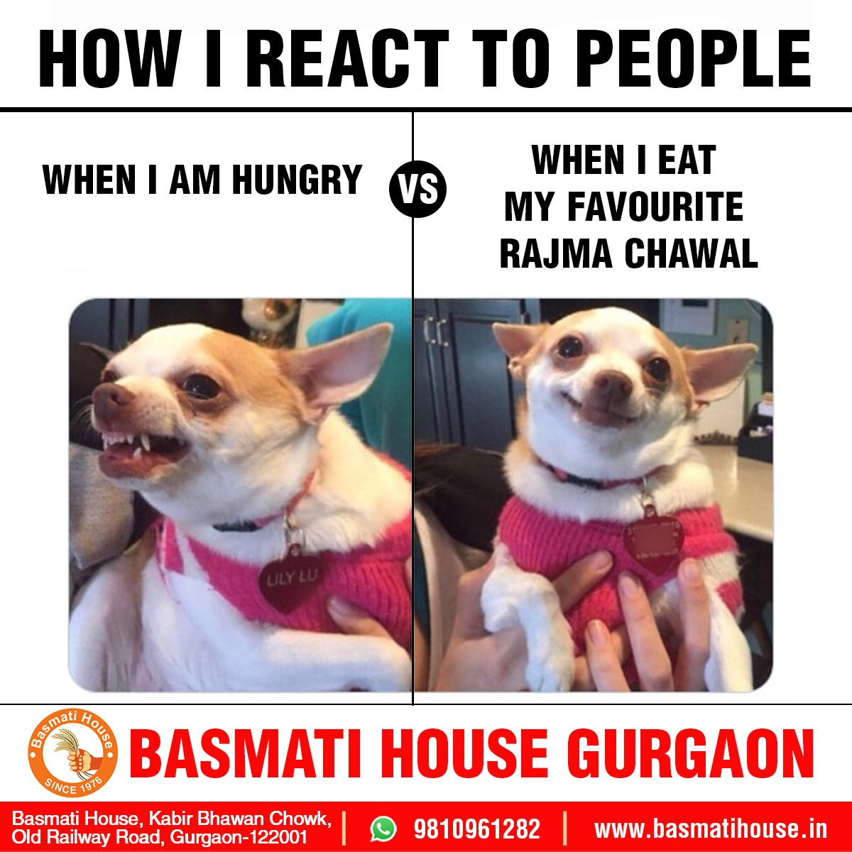 Rice Lovers - Meme of the day … #BasmatiHouse #BestRice...