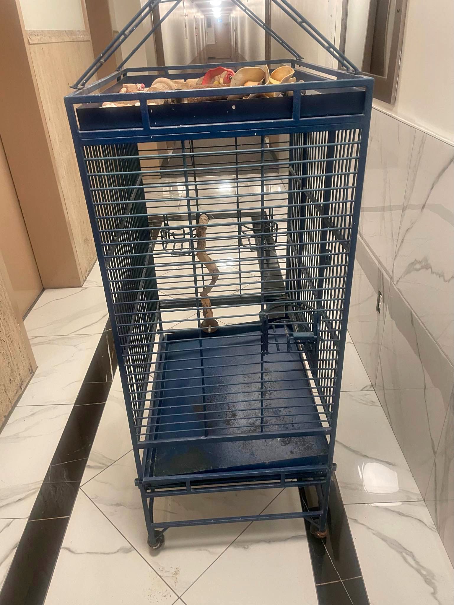Bird Cages for sale in Toronto, Ontario | Facebook Marketplace