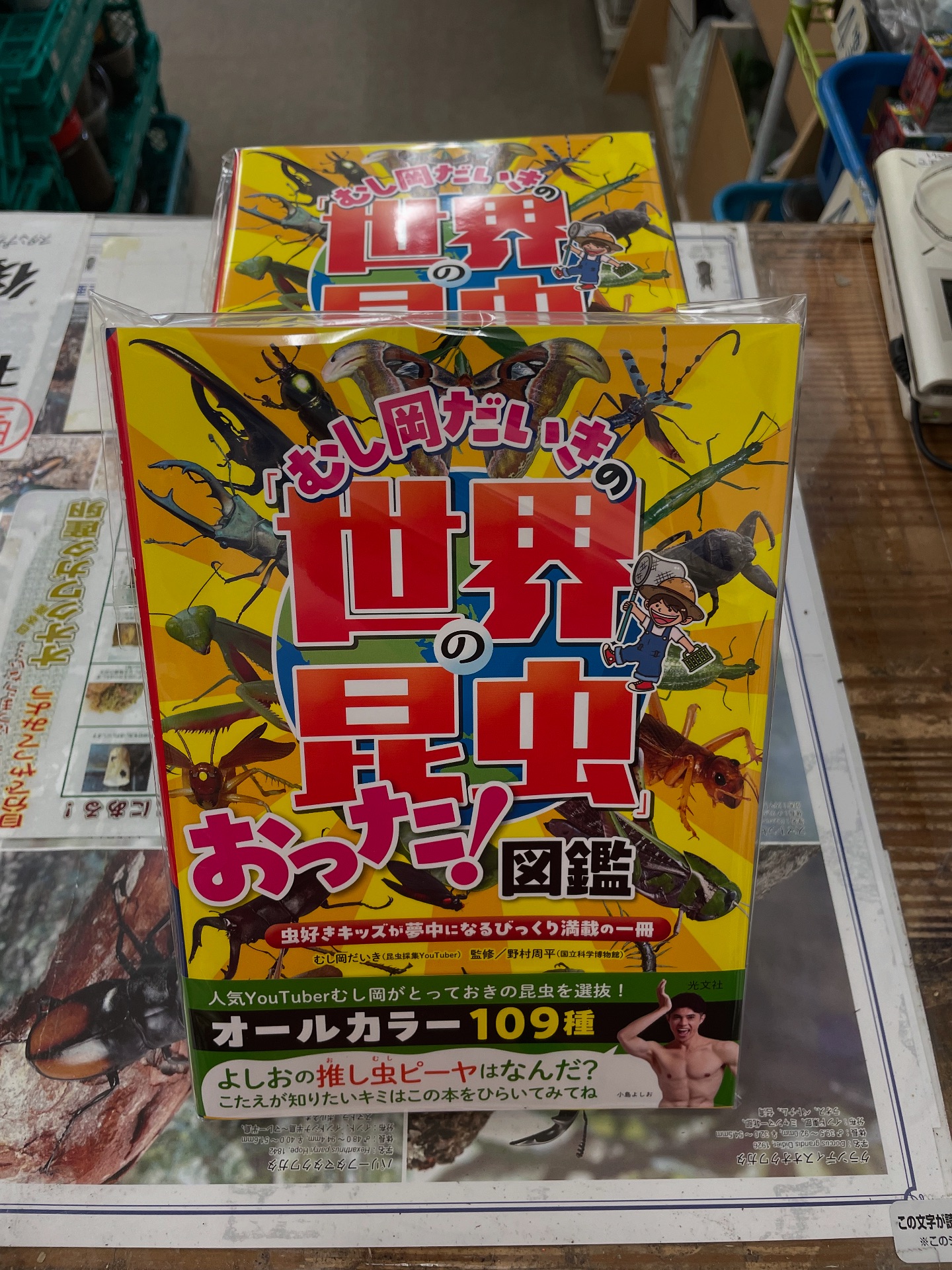 昆虫 ショップ ヘラクレス の 里